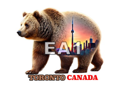 Magnet Toronto Bear