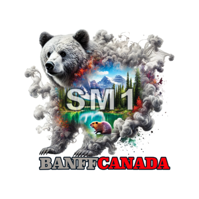 Magnet Banff Bear - Image 11