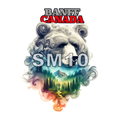 Sticker Banff Bear - Image 12