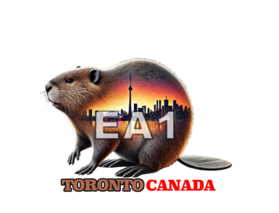 Magnet Toronto Beaver - Image 5